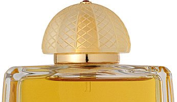 Amouage Jubilation