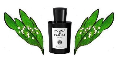 Acqua di Parma Colonia Essenza